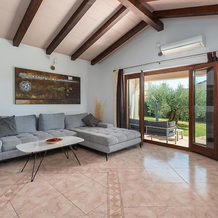 Villa Lucas Novigrad Istria Eksteriør billede